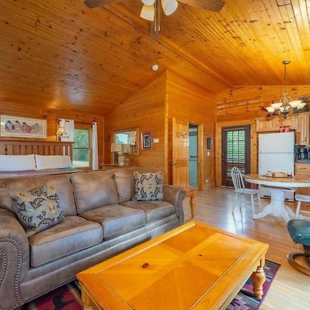 Log Cabin Stunning Mountain Views On 12 Acres Candler Exterior photo